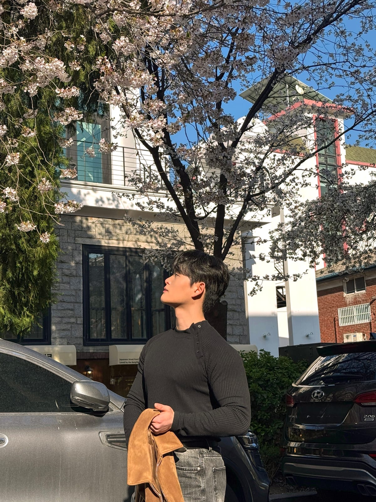 2026 벚꽃 — WKND MOOD