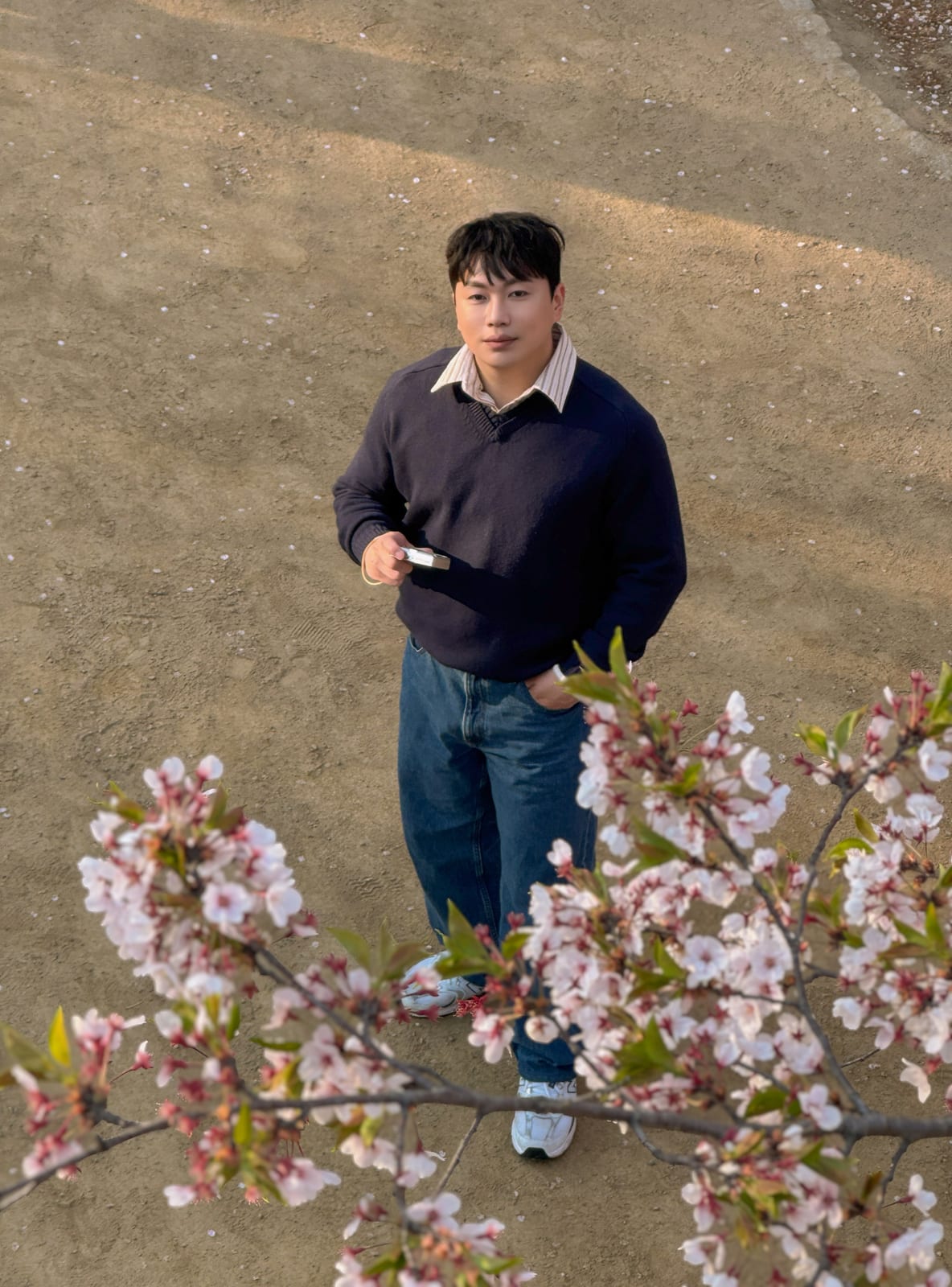 2026 벚꽃 — WKND MOOD